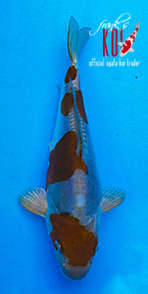 05